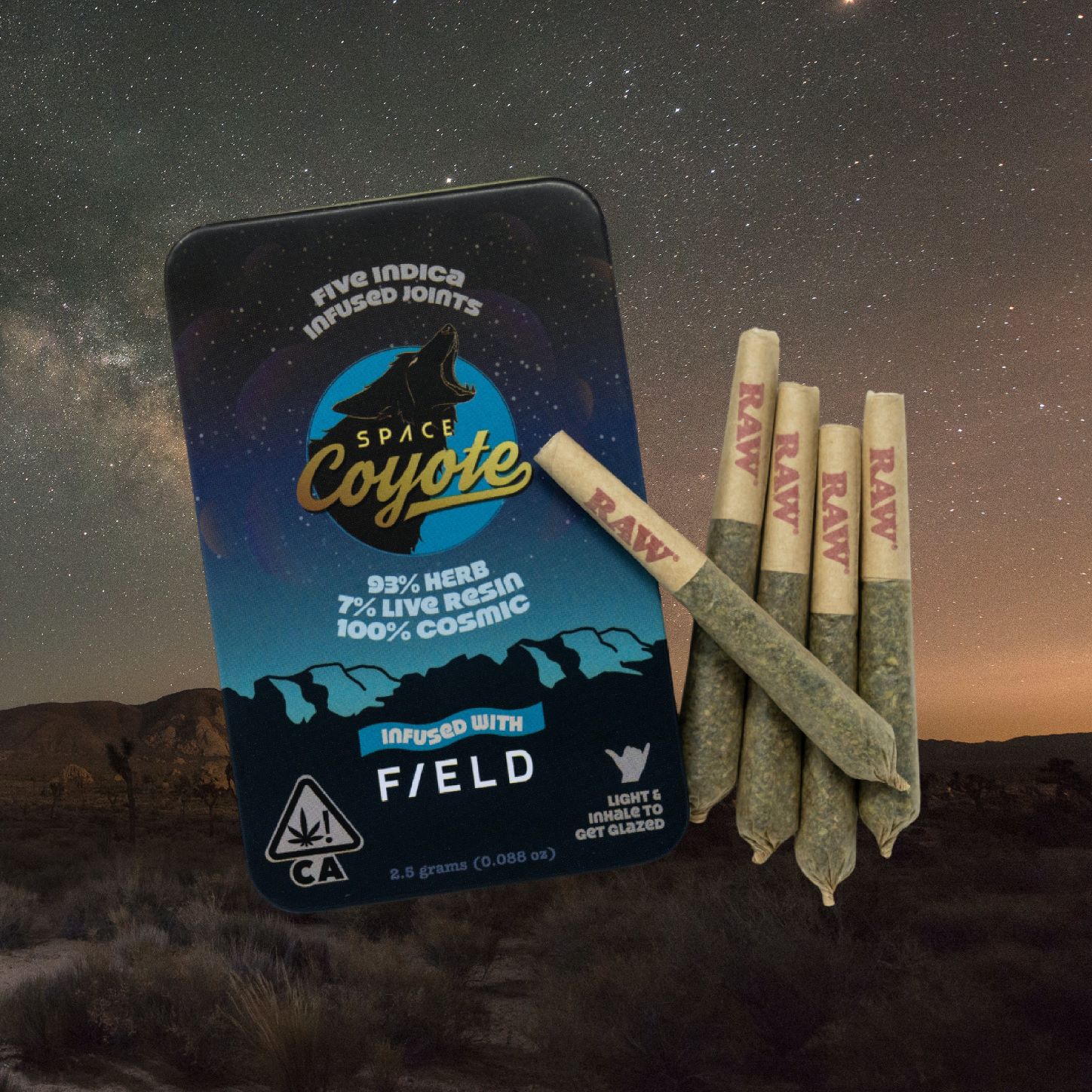 Space Coyote: Slightly Stoopid Space Coyote