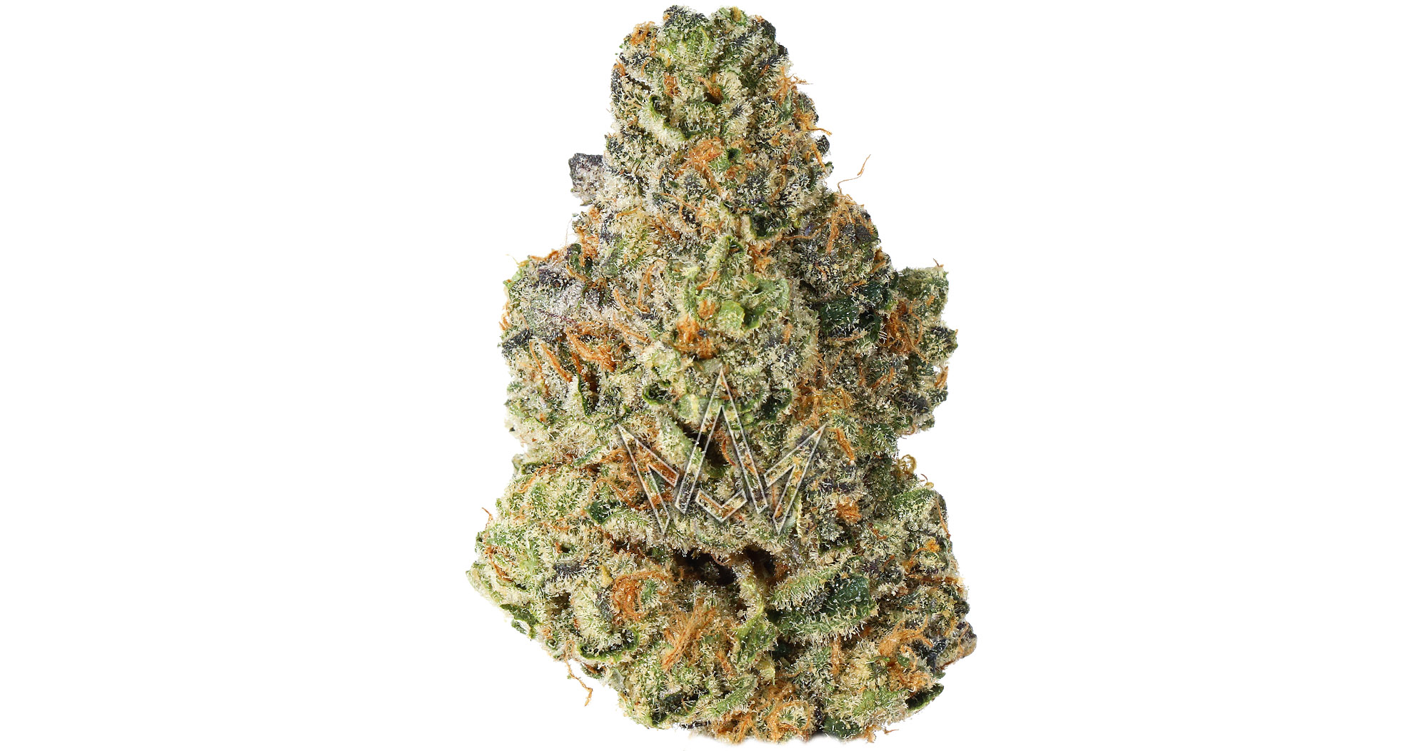 FloraCal - Biscotti x Sherb - 3.5g - San Diego, Vista & Imperial