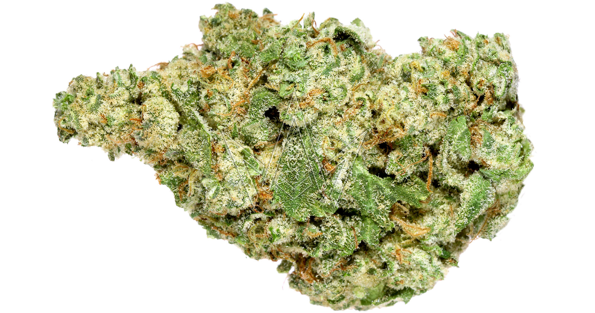 Dime Bag Cookie Mintz 3.5g San Diego, Vista & Imperial Cannabis