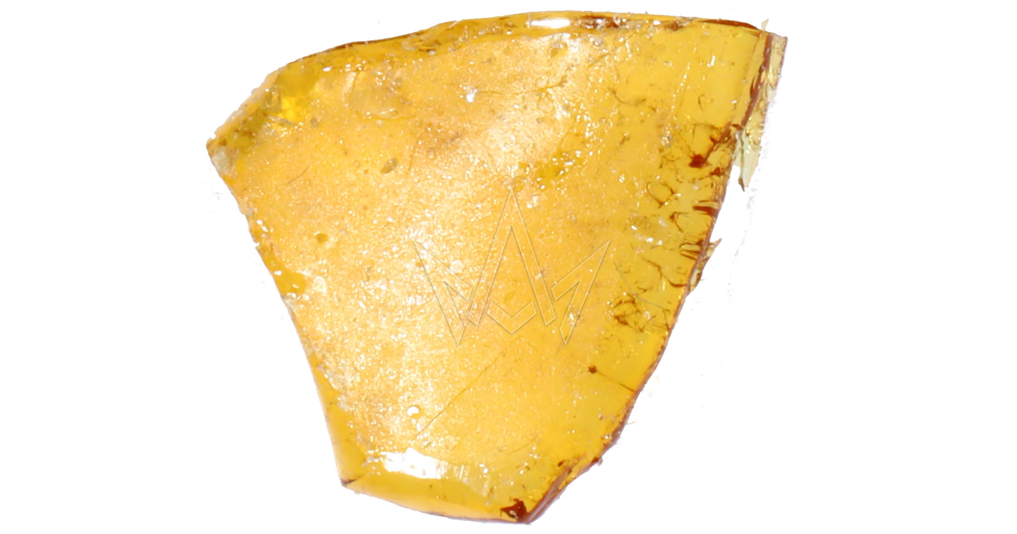 Chula Vista Telegraph Paper Planes Animal Cookies Cured Resin