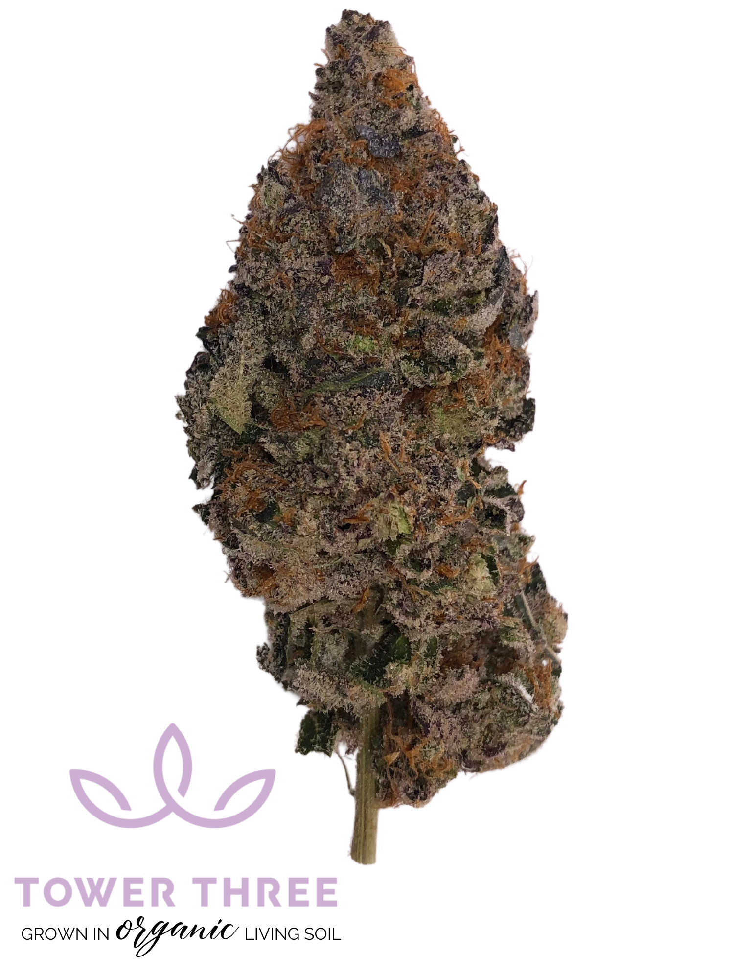 Dosido | 3.5g
