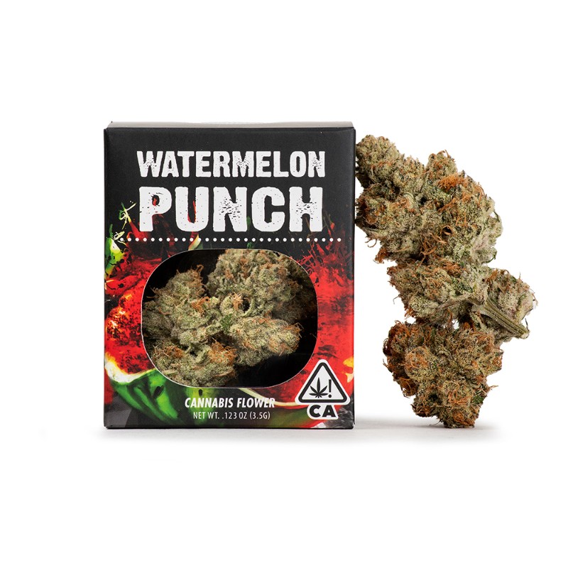 Decibel Gardens Watermelon Punch (I) Flower 3.5g