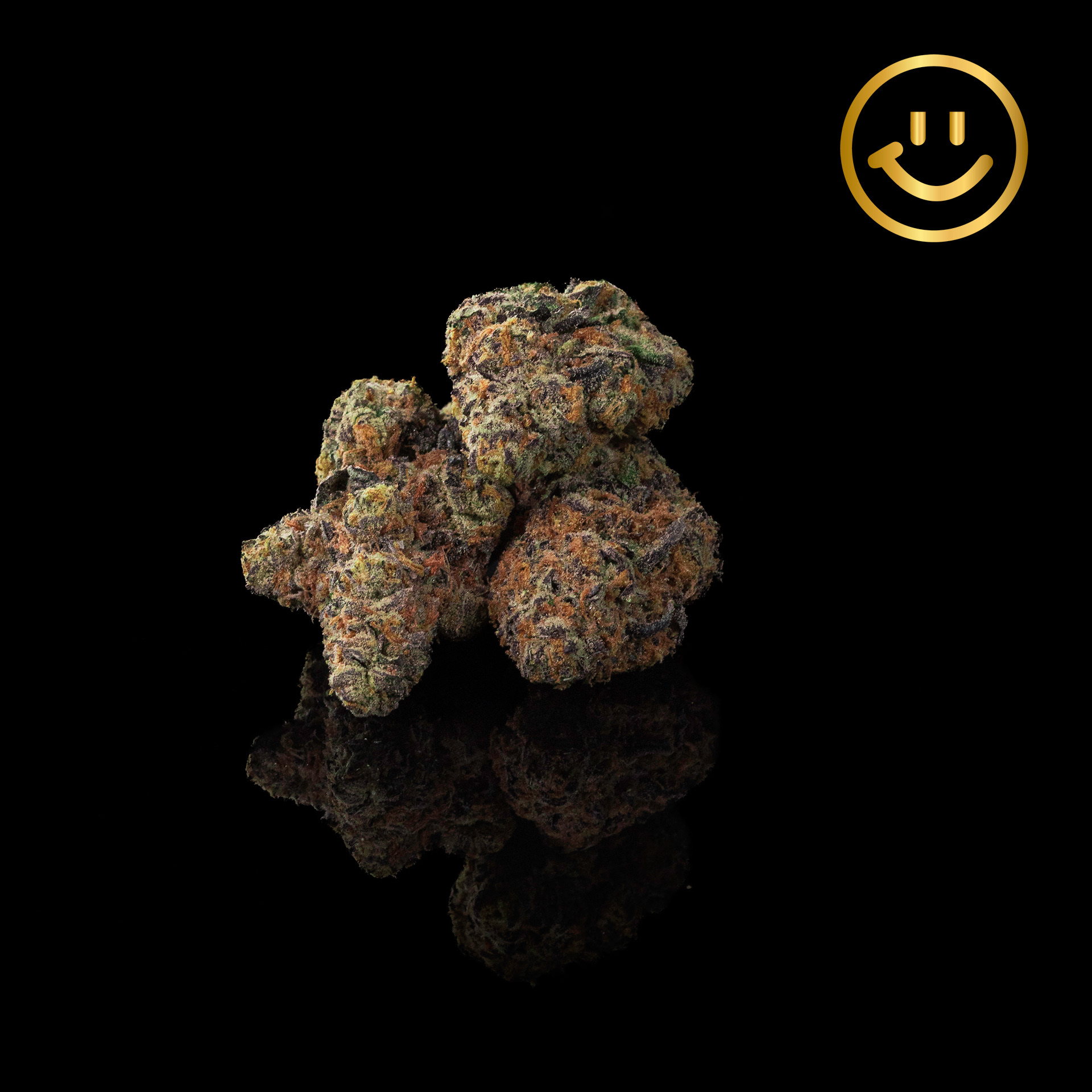 Grown Rogue | Cadillac Rainbow | indoor flower