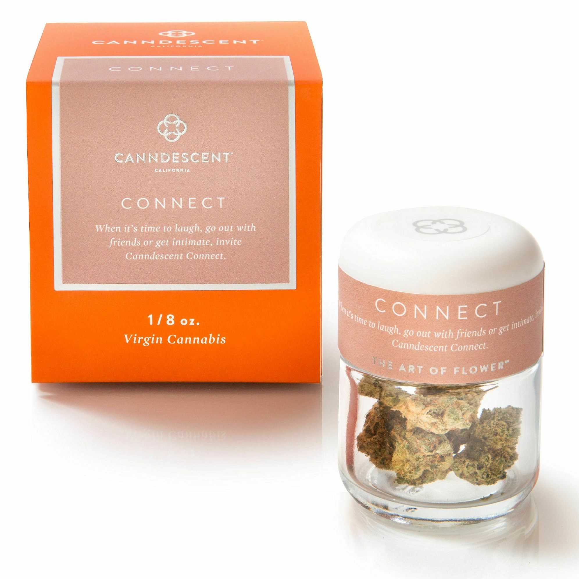 Flower: Connect (Citrus Society)