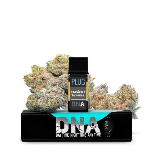PLUG PLAY - Pineapple Express DNA - 1g - Vape