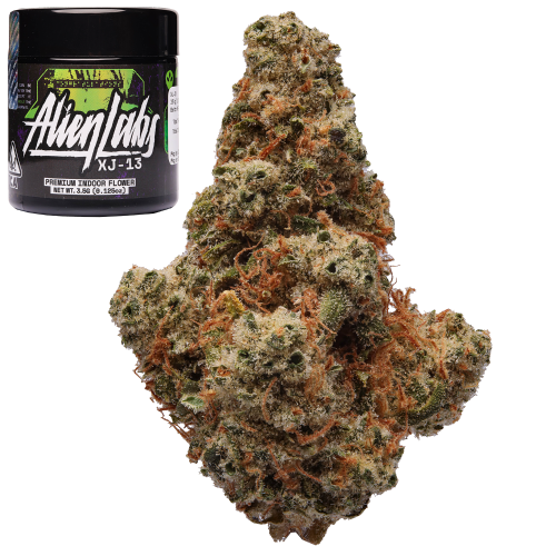 weed XJ-13 THCA Flower - Asheville Dispensary