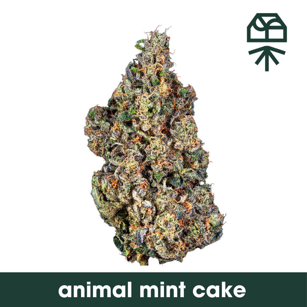 Grassroots | Animal Mint Cake | 3.5g