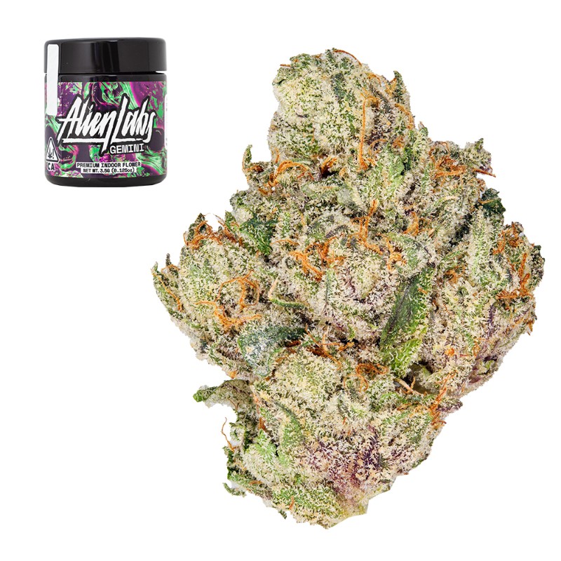トランプ GEMINI Holographic Gilded Ultra Mars Gemini Strain | Cannabis Flower | Hyperwolf