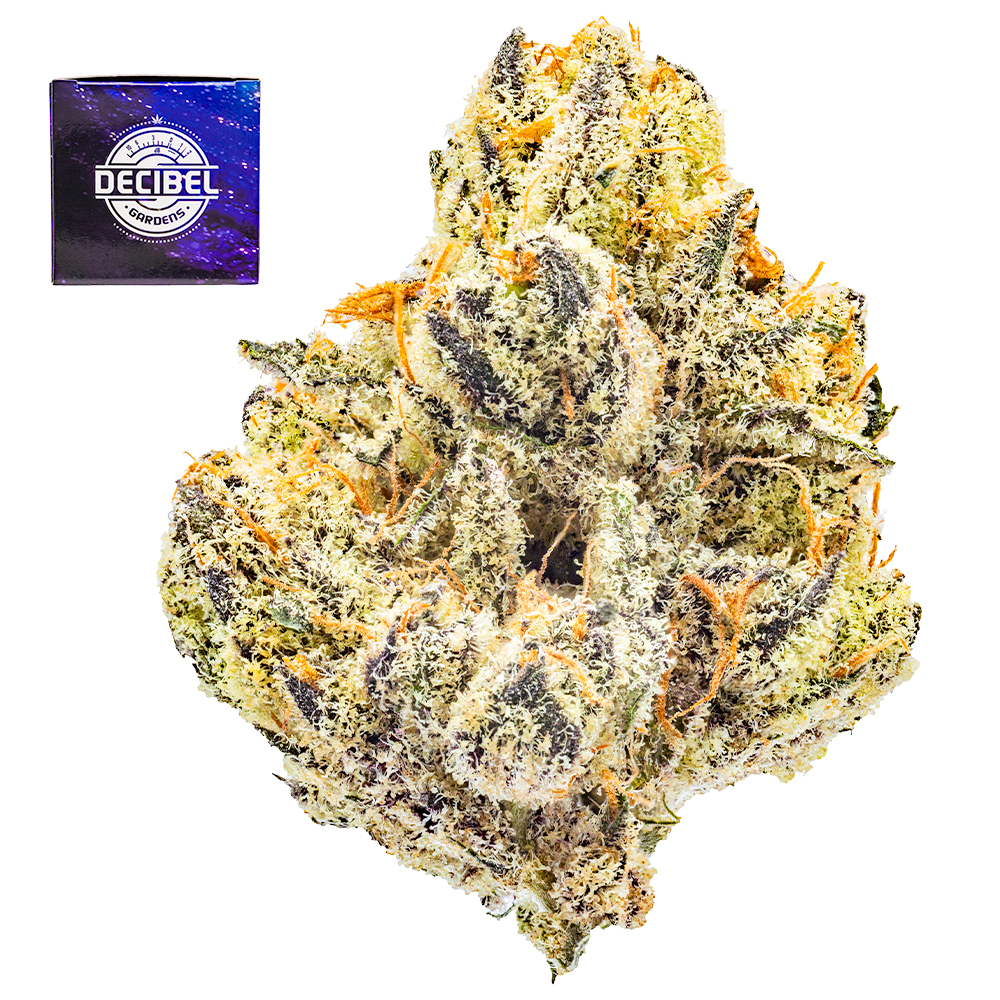 Alien-Orange---Flower---