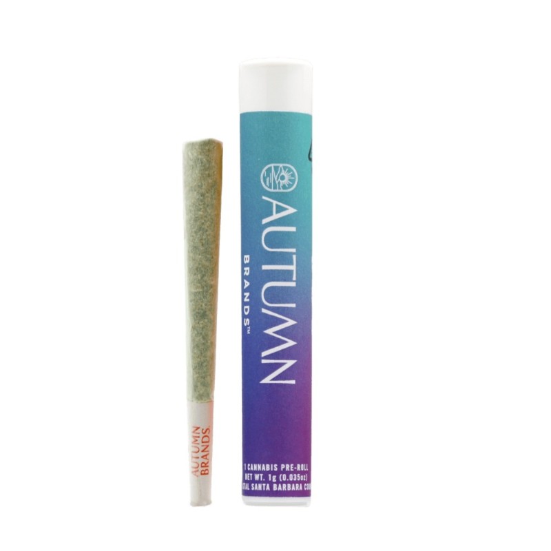 Autumn Brands Motion Party (I) Preroll 1g