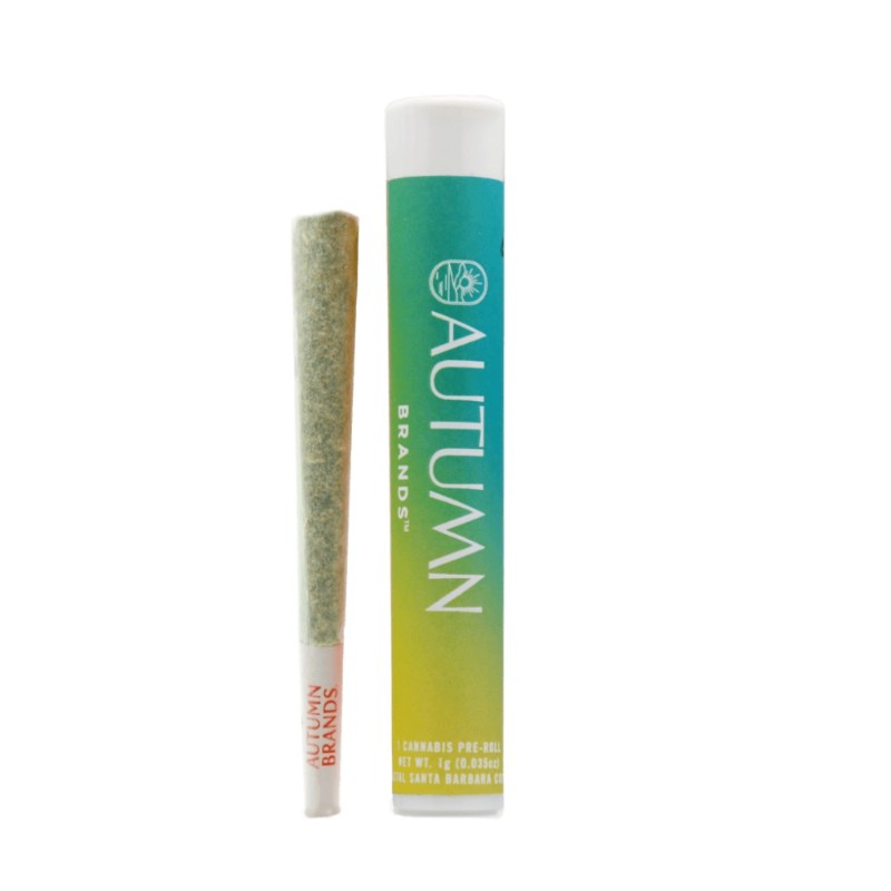 Autumn Brands Sour Mango (S) Preroll 1g