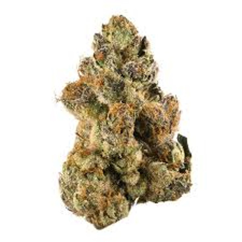BD Gelato Sunrise | 3.5g