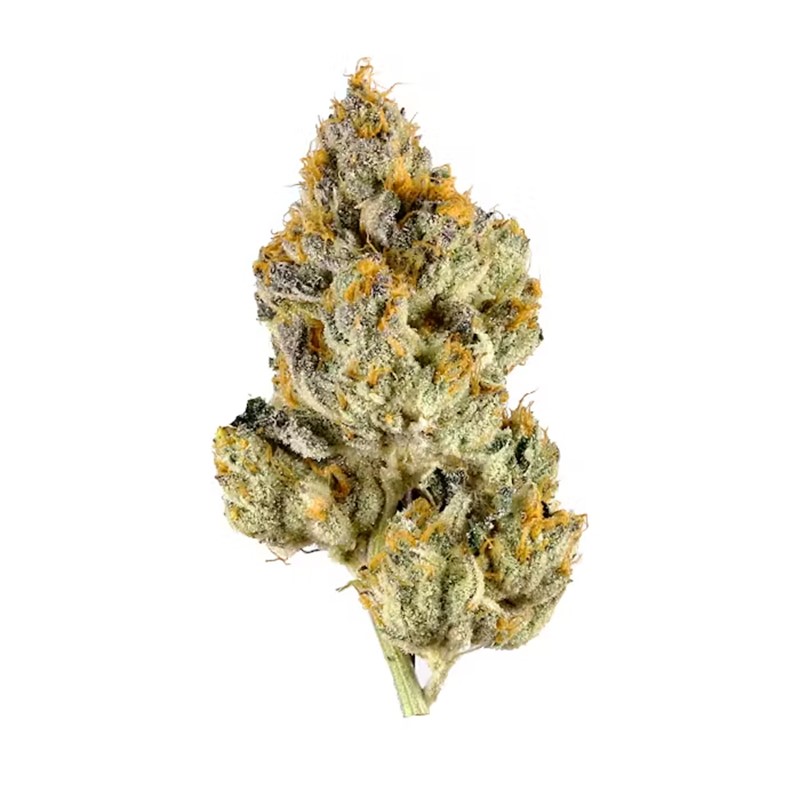 BD Lemon Cherry Gelato | 3.5g