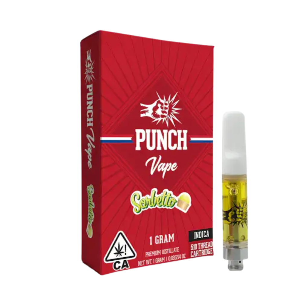 Punch: Sorbetto - - Punch Extracts