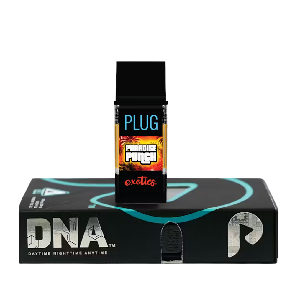 PlugPlay: Paradise Punch