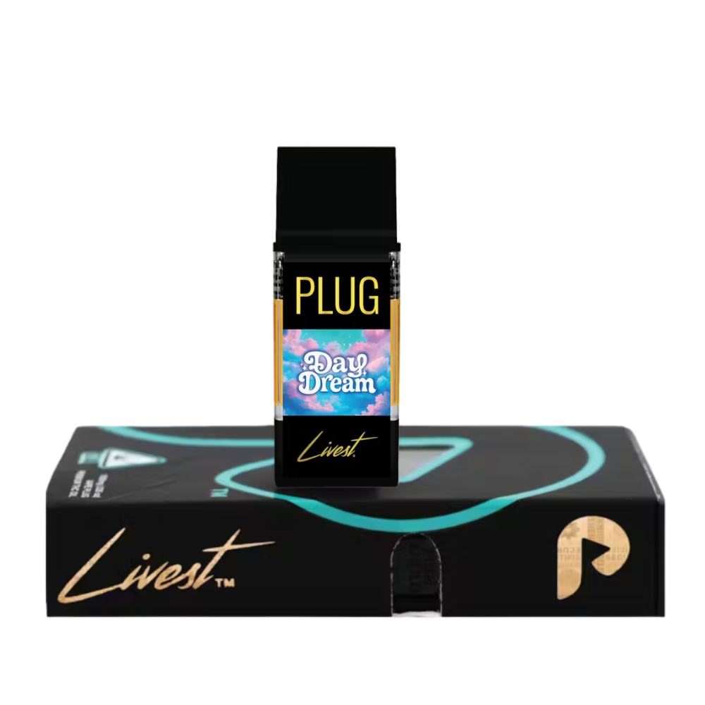 PlugPlay: Day Dream Lr - Plugplay
