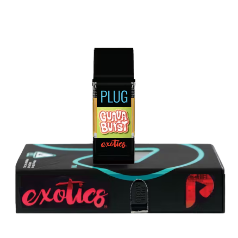 GUAVA BURST 1G - PLUGPLAY