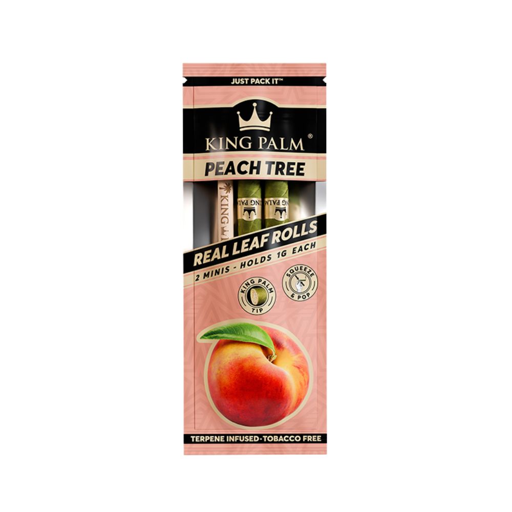 PEACH TREE KING PALM MINI CONES (2PK) - KING PALM