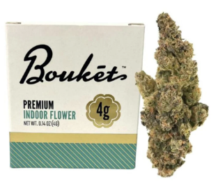 Bouket | GMO Punch | 4G Hybrid