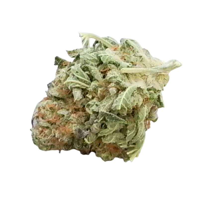 GP Banana OG | 7g