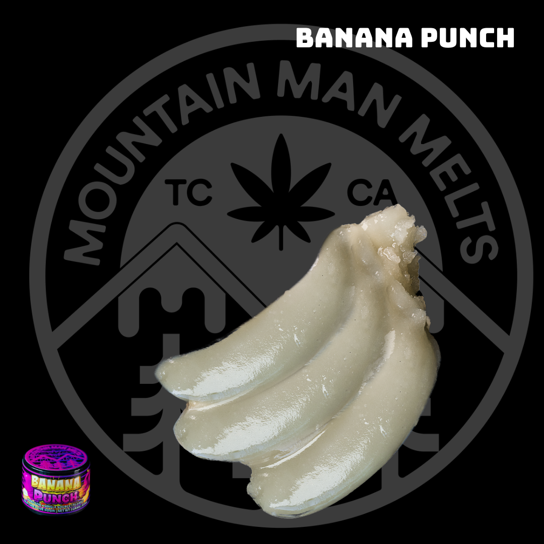 Mountain Man Melts - Live Rosin - Banana Punch - Concentrates - 1.0g