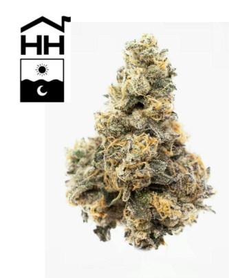 Super Silver Haze | 3.5g