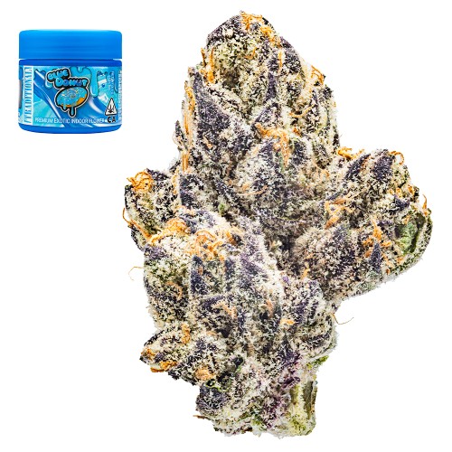 LA Pop Rocks x Purple Push Pop LA Pop Rocks x Purple Push Pop