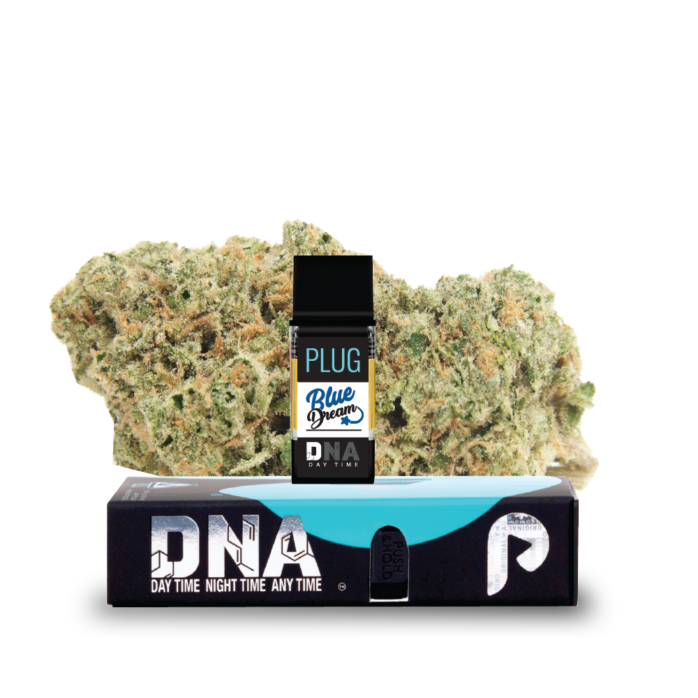 PLUGPLAY | PLUG | DNA | Blue Dream | 1g