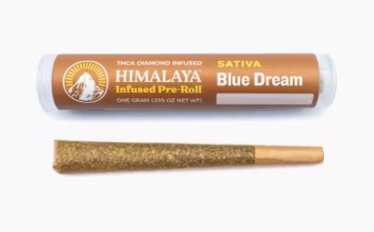 Himalaya 1g Blue Dream Infused Preroll