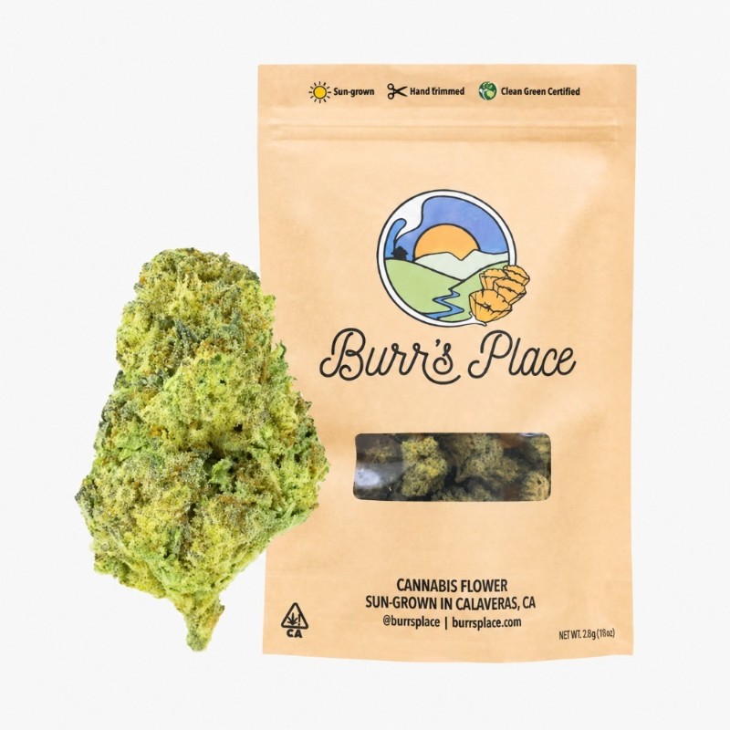 Burr's Place Macaroon (H) Flower 3.5g