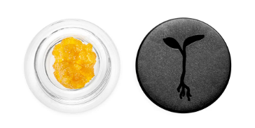 RAW GARDEN: Black Garlic 1g Live Resin (I)