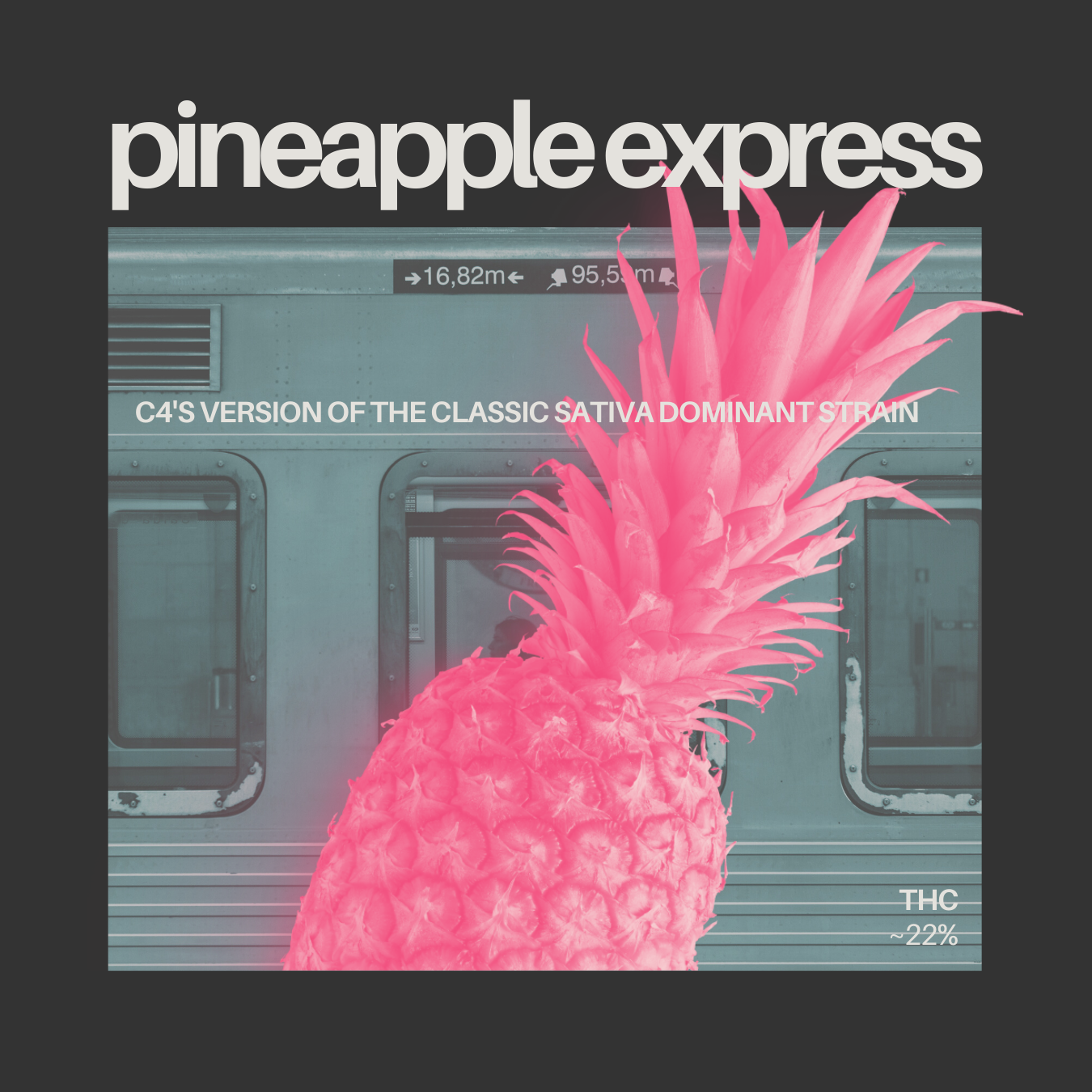 Pineapple Express 14 Gram Pre-Pack Flower