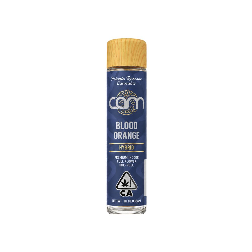 Angel Cam: Blood Orange