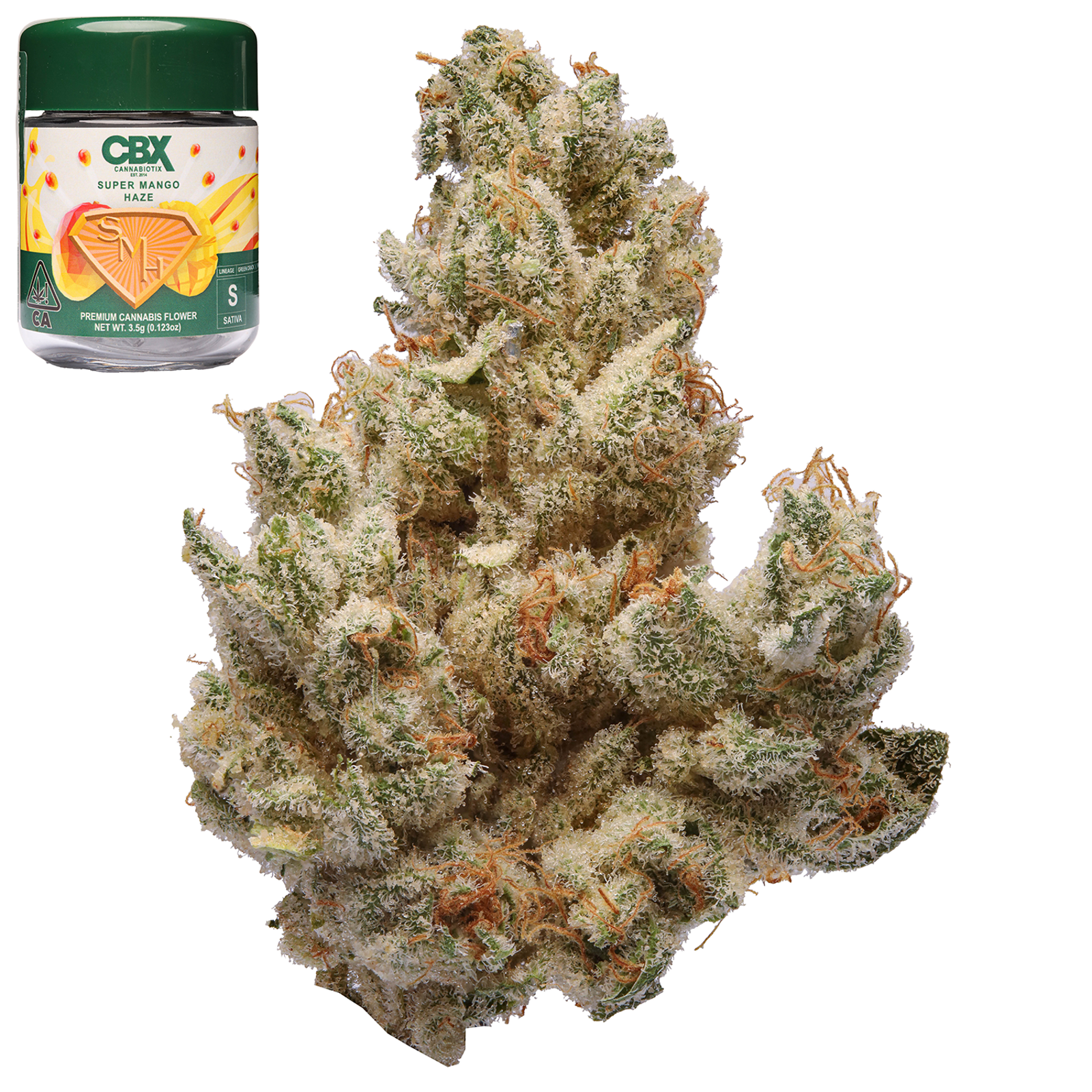 Cannabiotix Super Mango Haze Flower Strain (hybrid), 3.5g