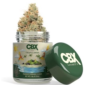 CBX - Flower: Tropicanna