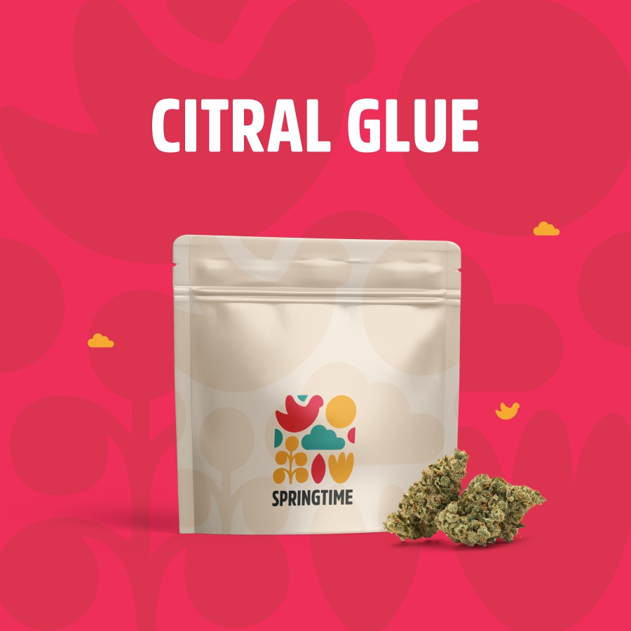 Springtime | Citral Glue | 3.5g