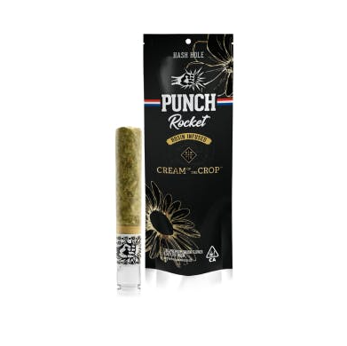 Punch — Gotti Beltz