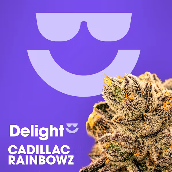 Flower | Buds | Delight | Cadillac Rainbowz | 3.5g
