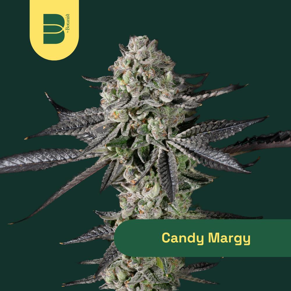 Candy Margy | 3.5g