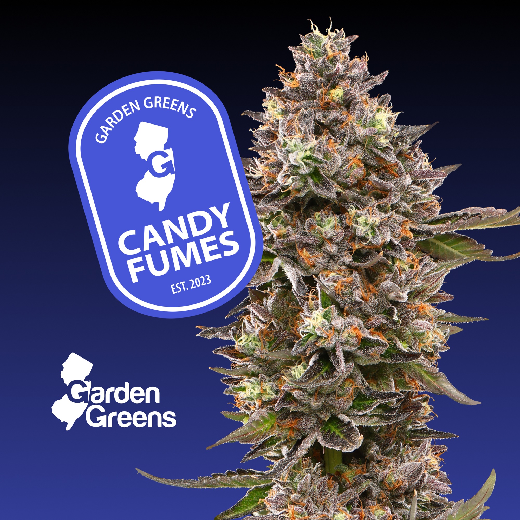 CandyFumes_MenuAsset--1--