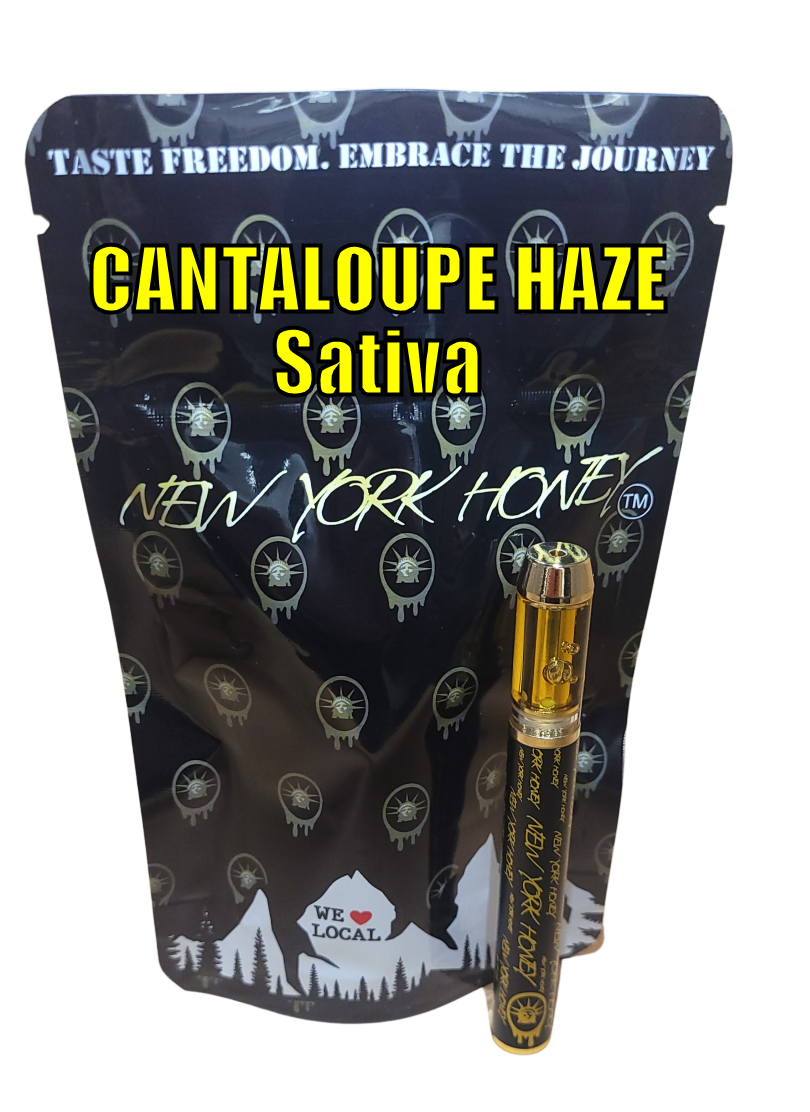 Veterans Choice Creations | Cantaloupe Haze | Disposable Pen 1g