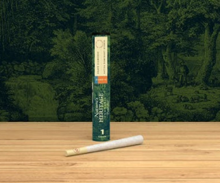 Nature's Heritage Governmint Oasis 0.5g 2pk Bubble Hash Infused Prerolls