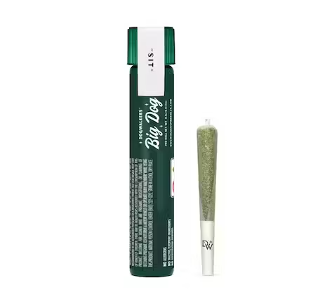 Dogwalkers Runtz 1g Infused Prerolls