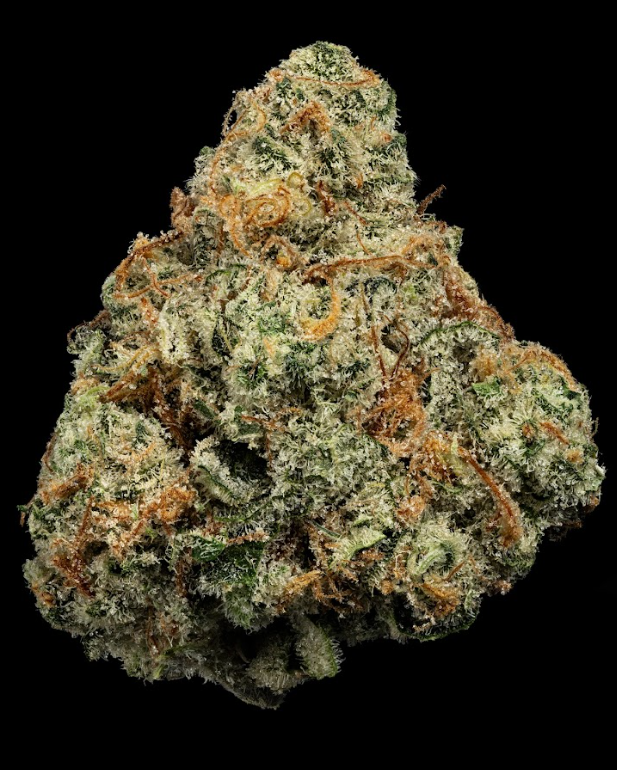 U4EA Where's My Bike 3.5g