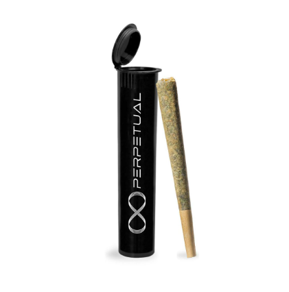Perpetual Artificial Red 1g Infused Preroll