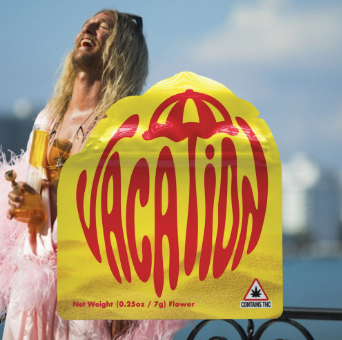 Vacation Sofa King 7g