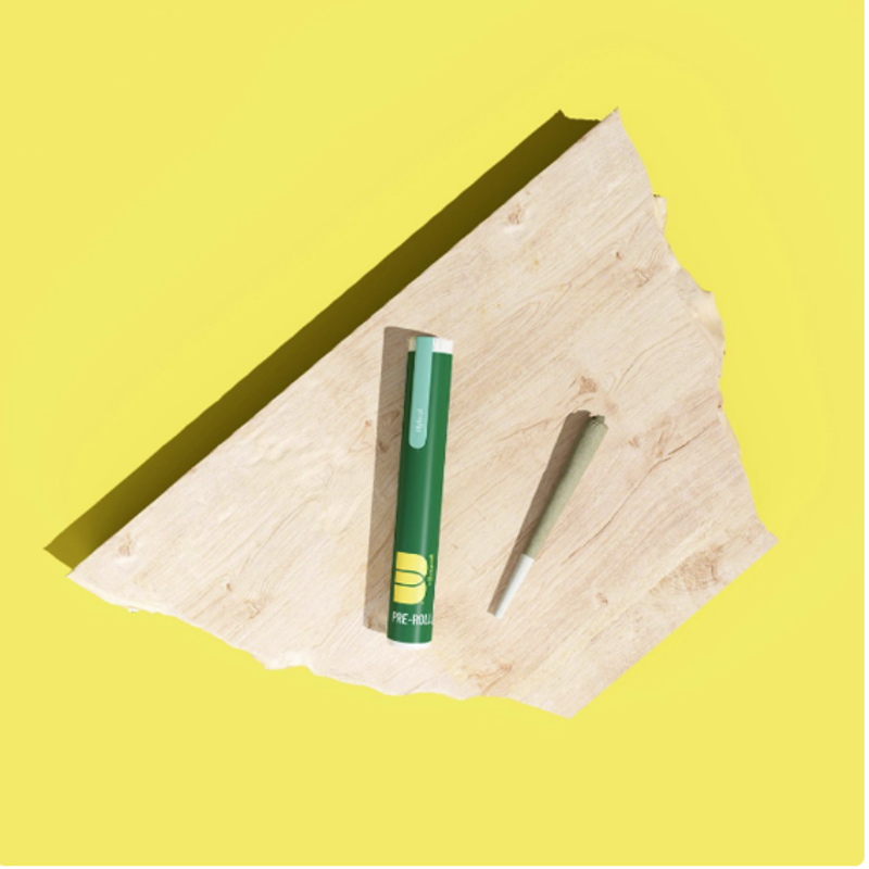 Velvet Ropes - Preroll