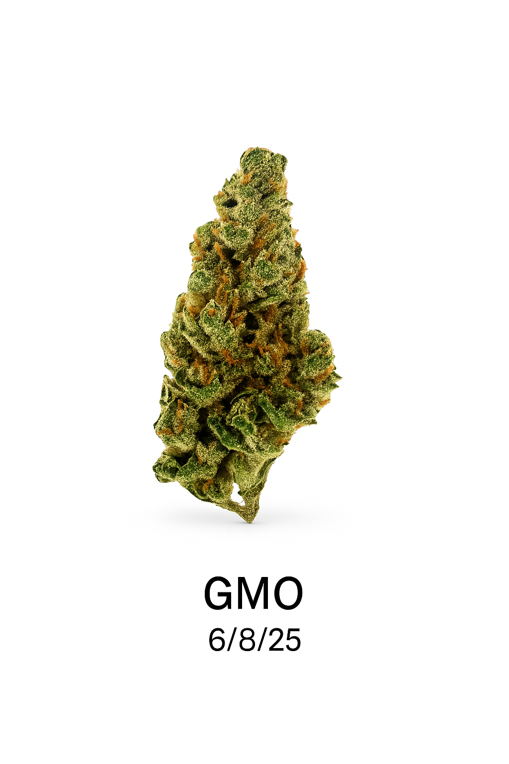 DPF - GMO
