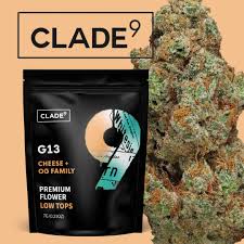 Flower | Buds | Clade9 | G13 | 1g