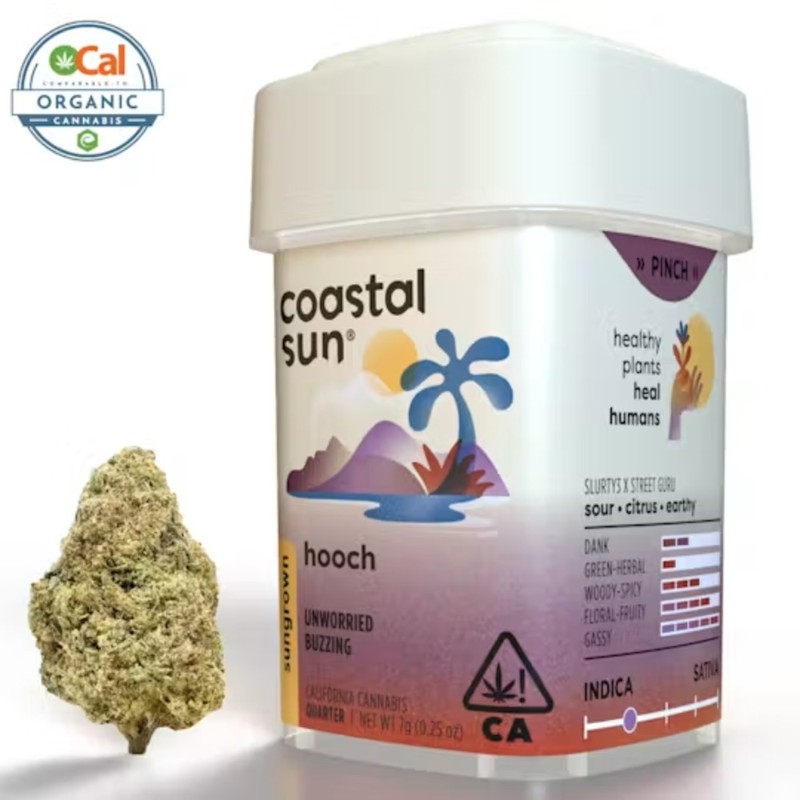 Coastal Sun Hooch (I/H) Sungrown Flower 7g
